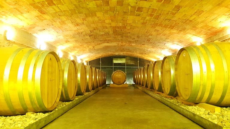 Sala crianza barricas Onra negre.jpg